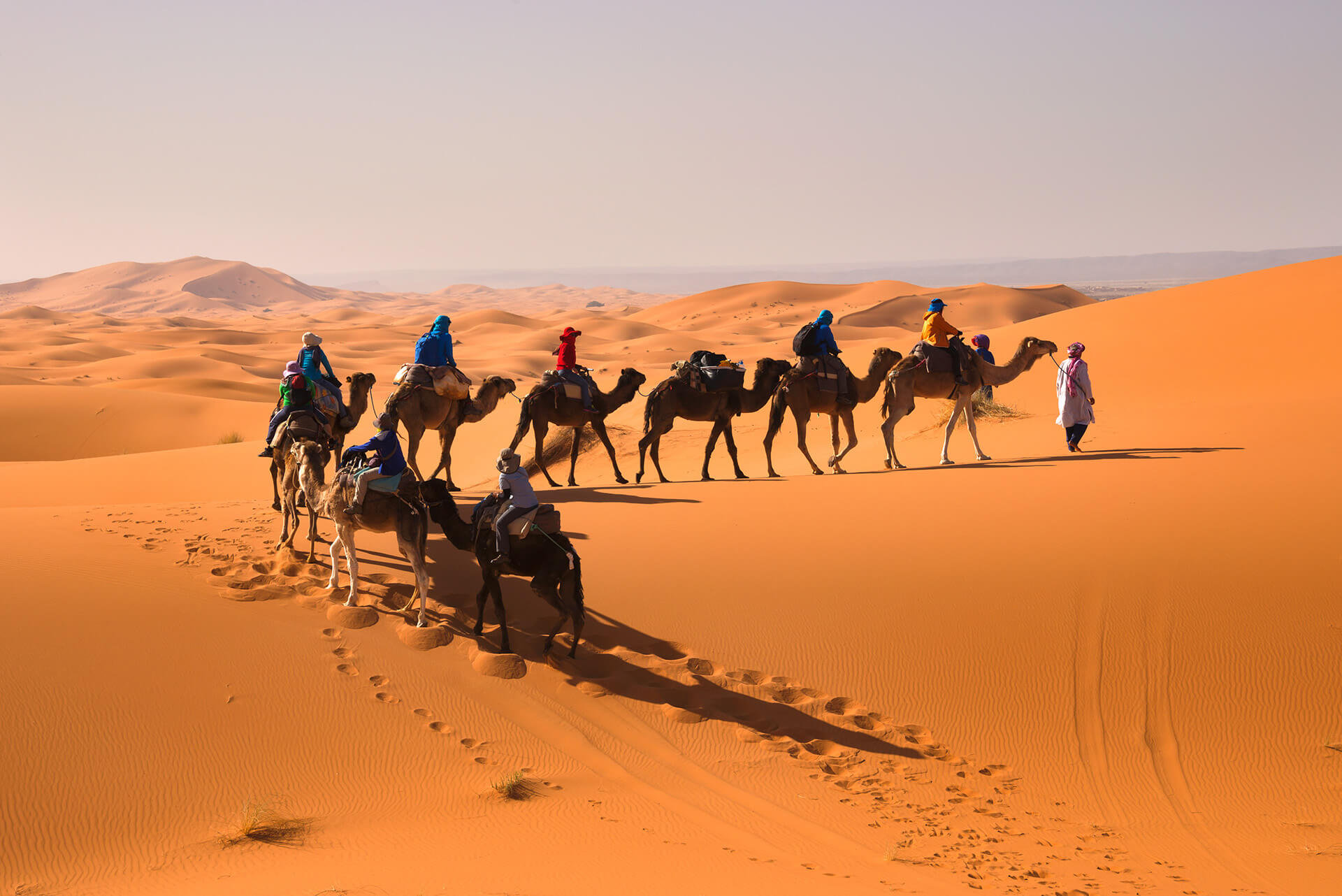 Camel caravan